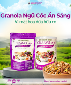Ngũ Cốc Ăn Sáng Granola Bh.nong Food